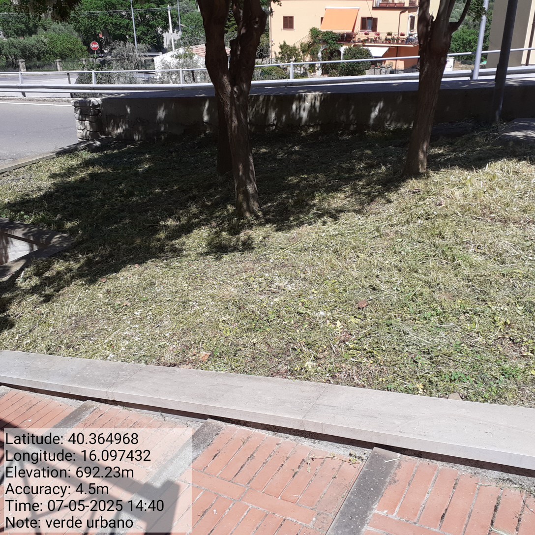 Galleria Fotografica Immagine