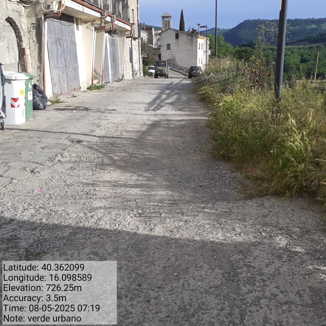 Galleria Fotografica Immagine