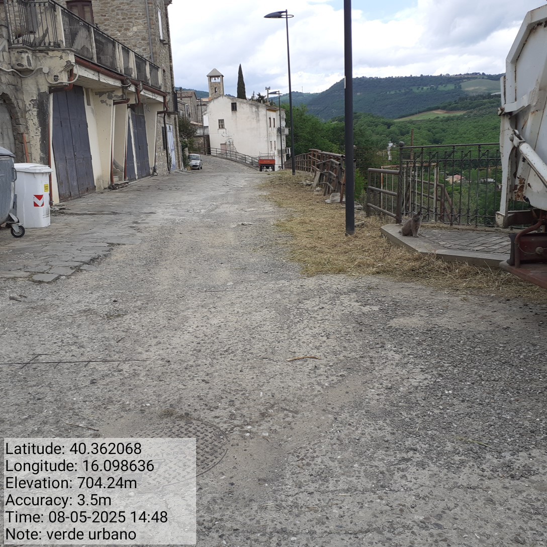 Galleria Fotografica Immagine