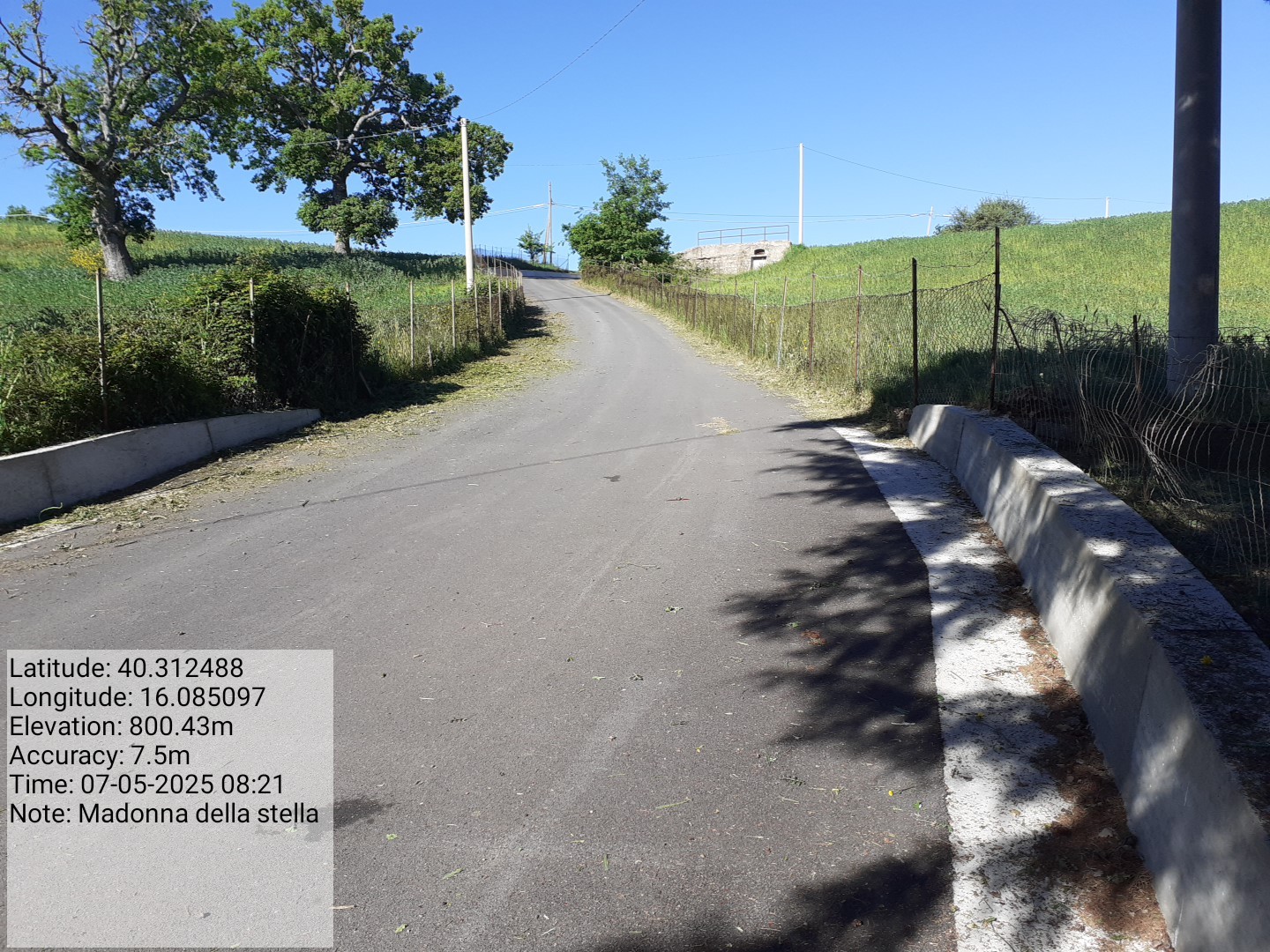 Galleria Fotografica Immagine