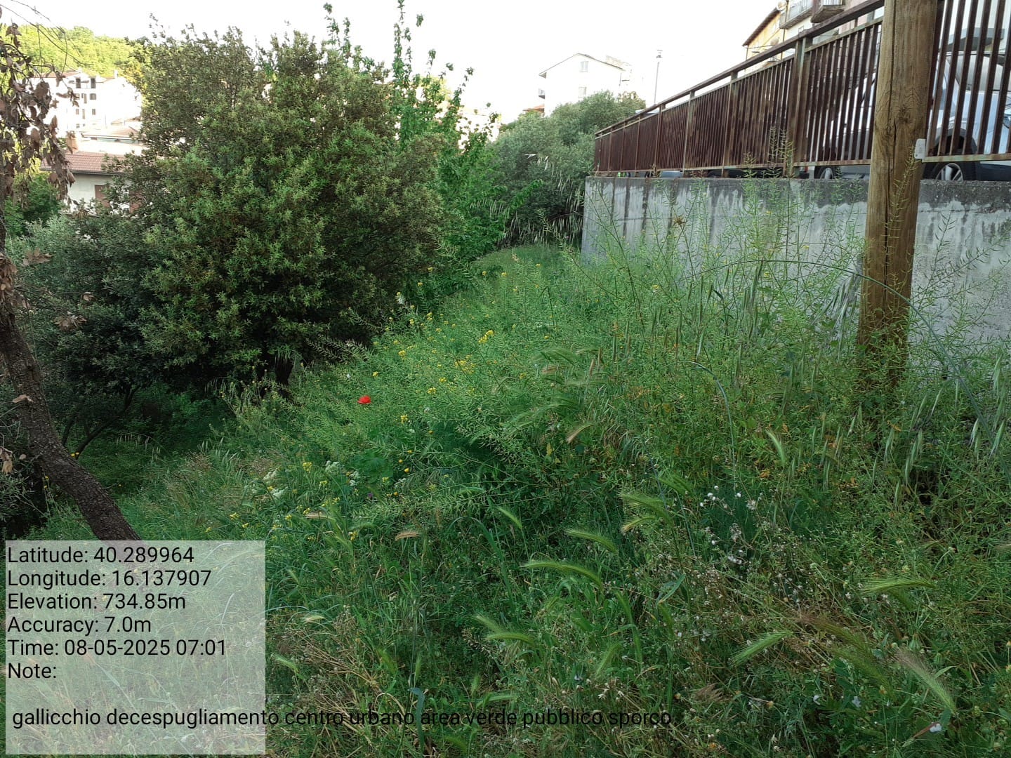 Galleria Fotografica Immagine