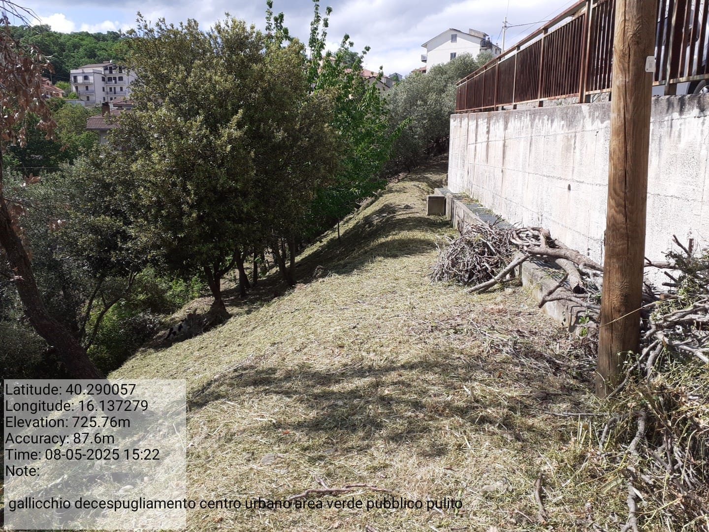 Galleria Fotografica Immagine