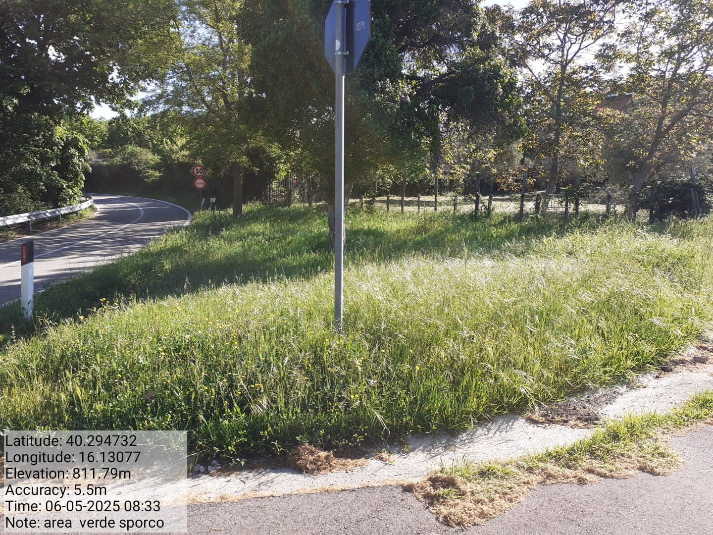 Galleria Fotografica Immagine