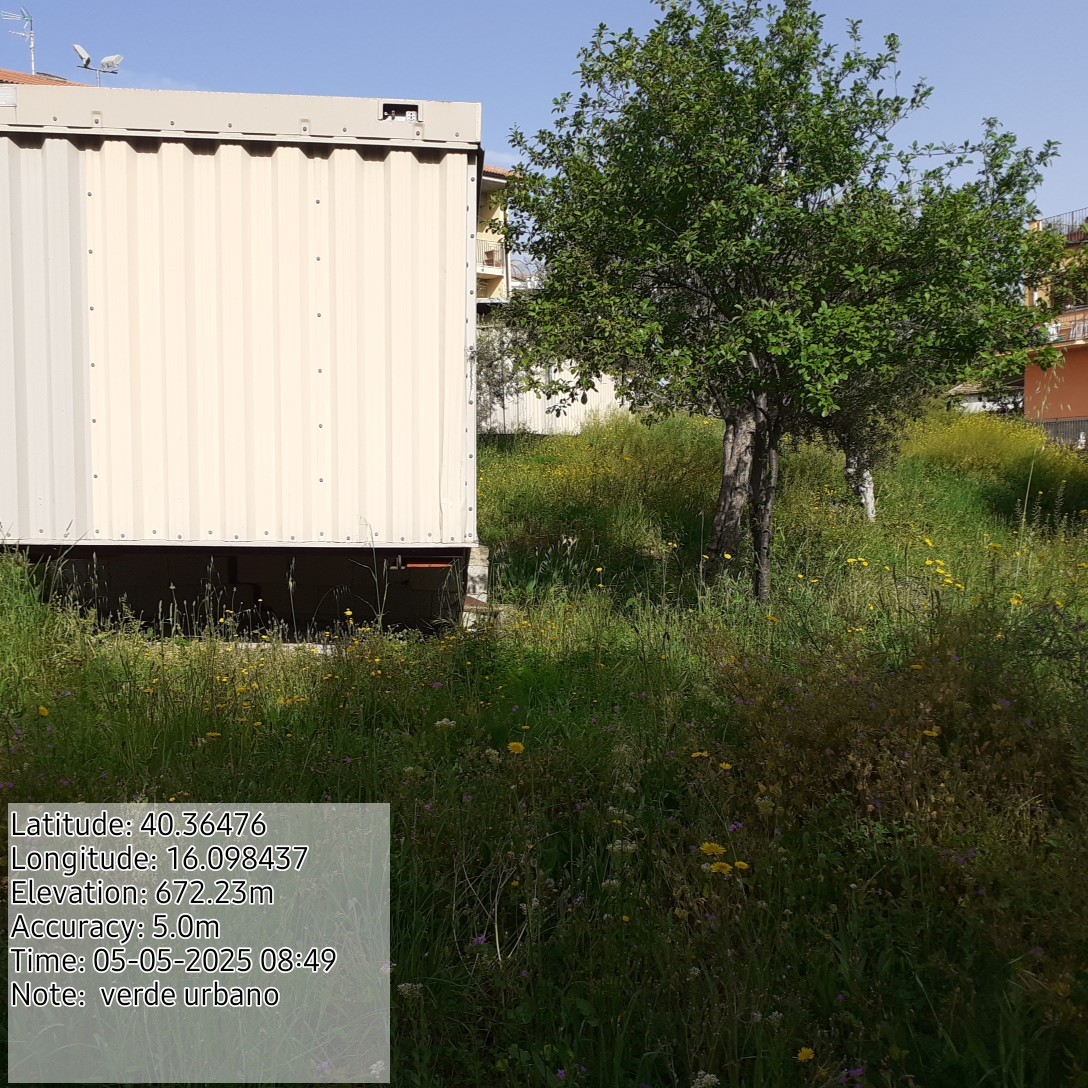 Galleria Fotografica Immagine