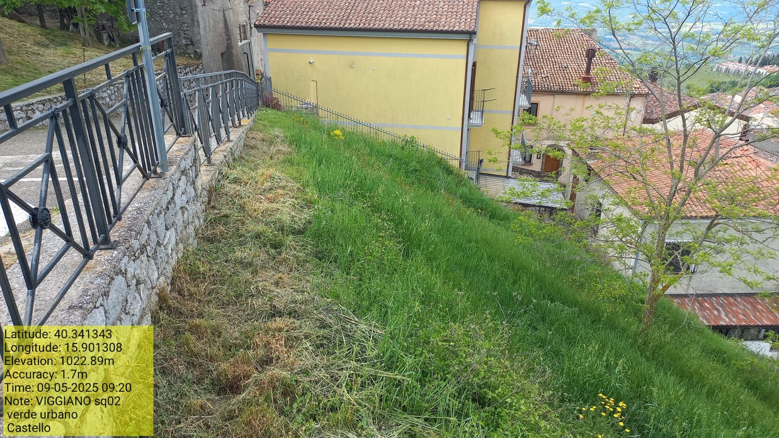 Galleria Fotografica Immagine