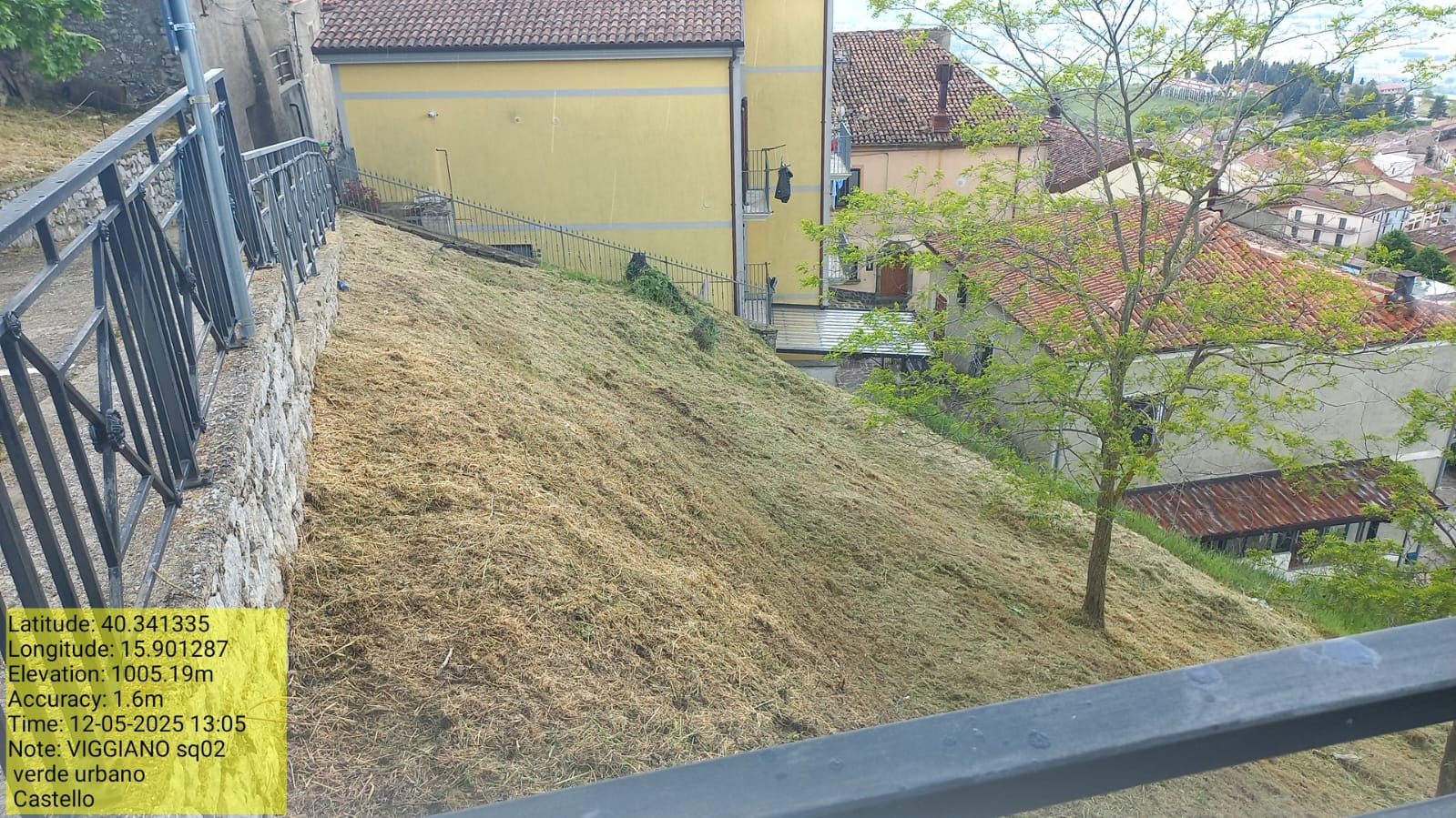 Galleria Fotografica Immagine