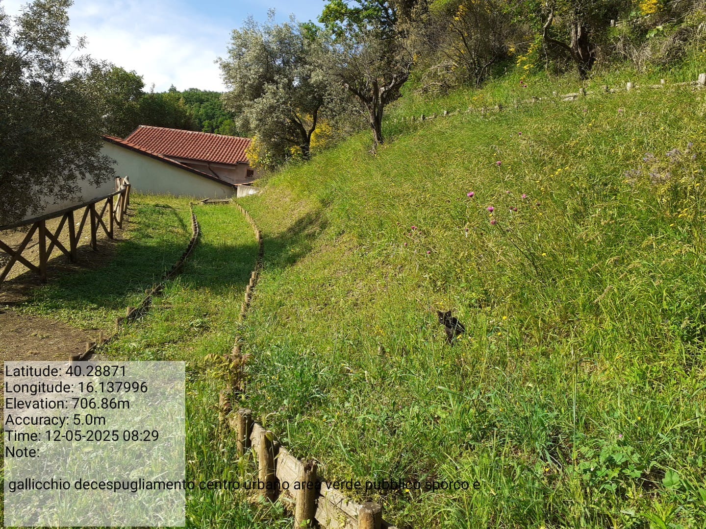 Galleria Fotografica Immagine