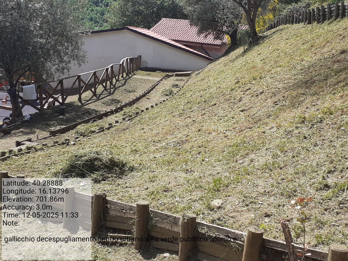 Galleria Fotografica Immagine