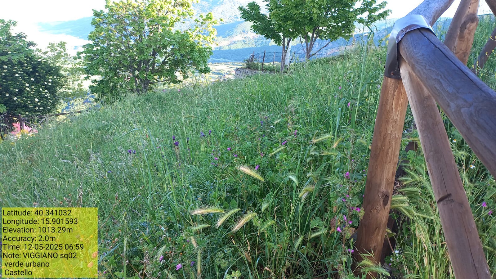 Galleria Fotografica Immagine