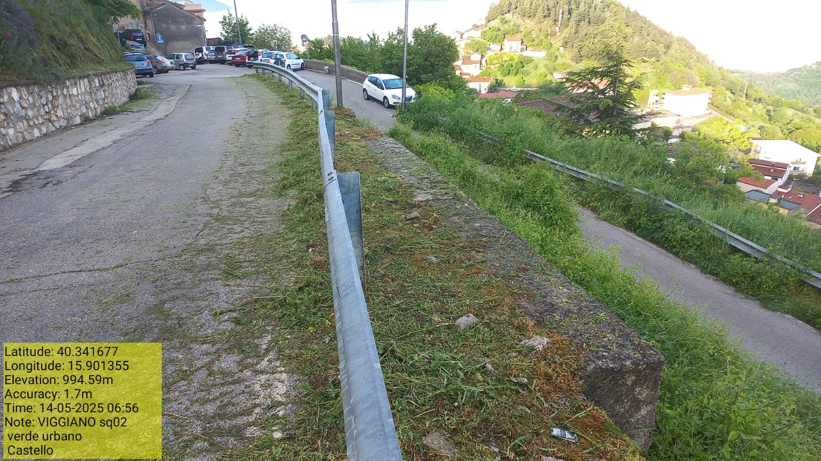 Galleria Fotografica Immagine