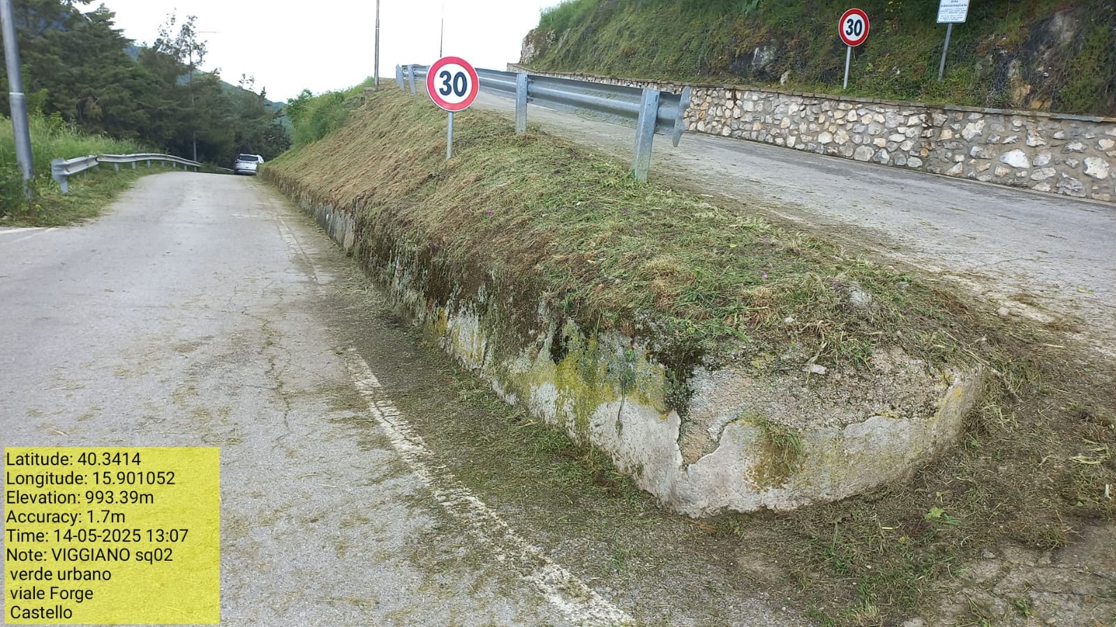 Galleria Fotografica Immagine