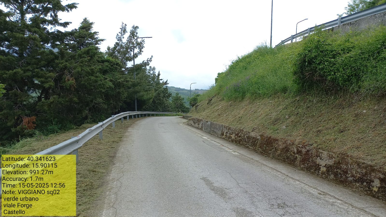 Galleria Fotografica Immagine