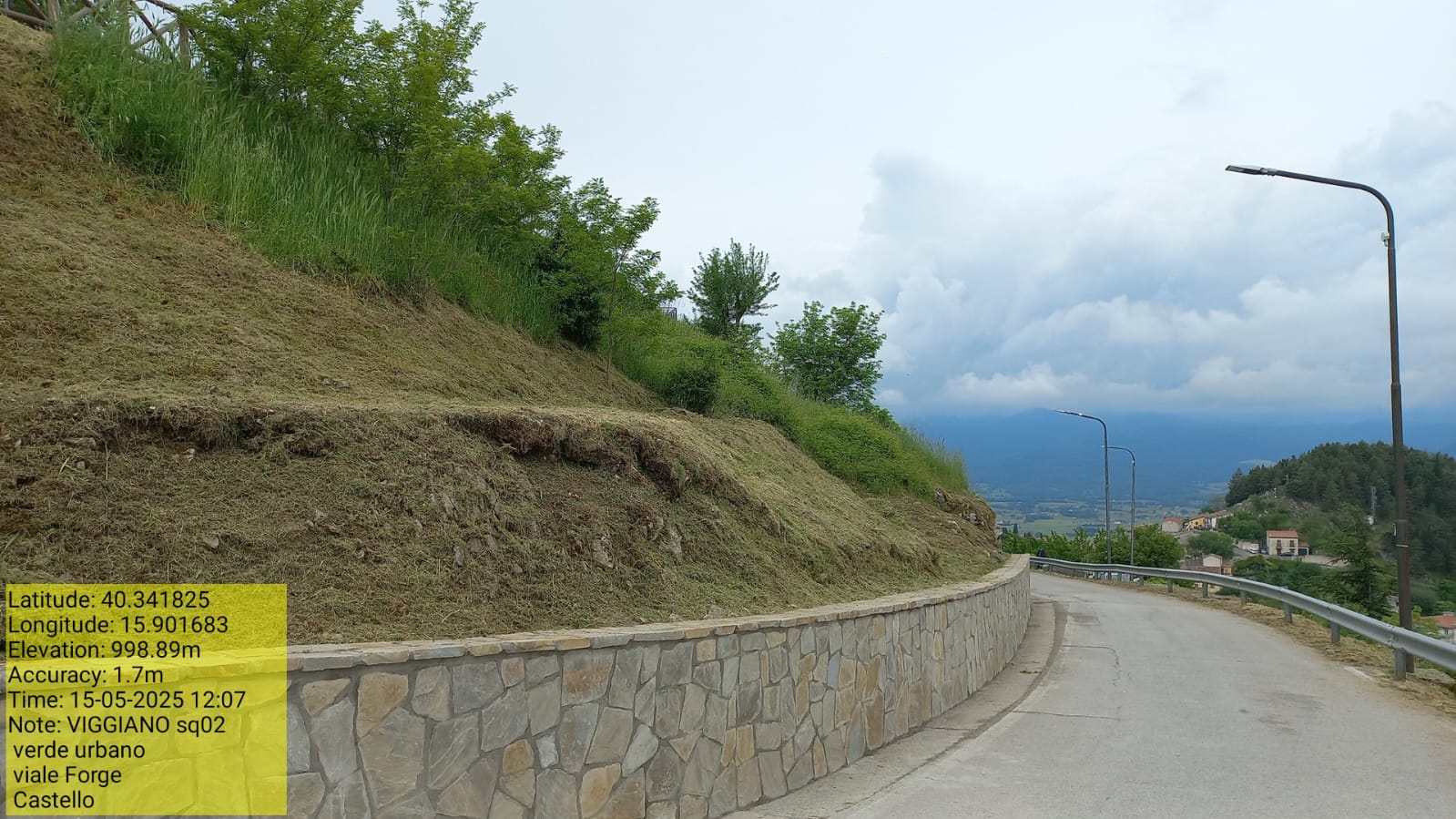 Galleria Fotografica Immagine