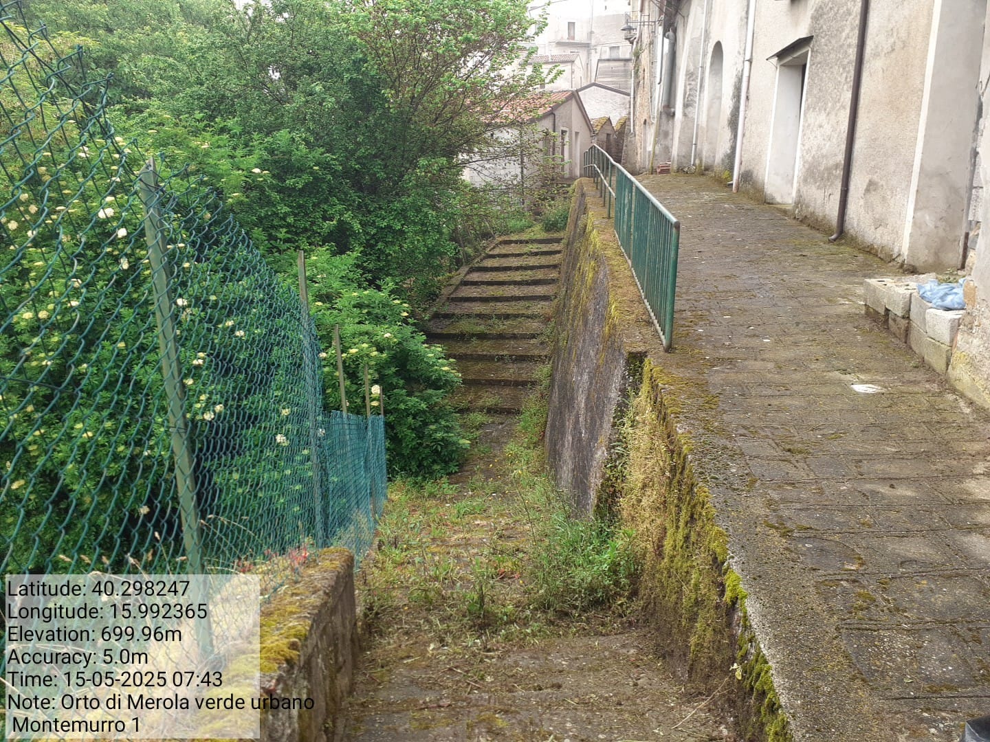 Galleria Fotografica Immagine