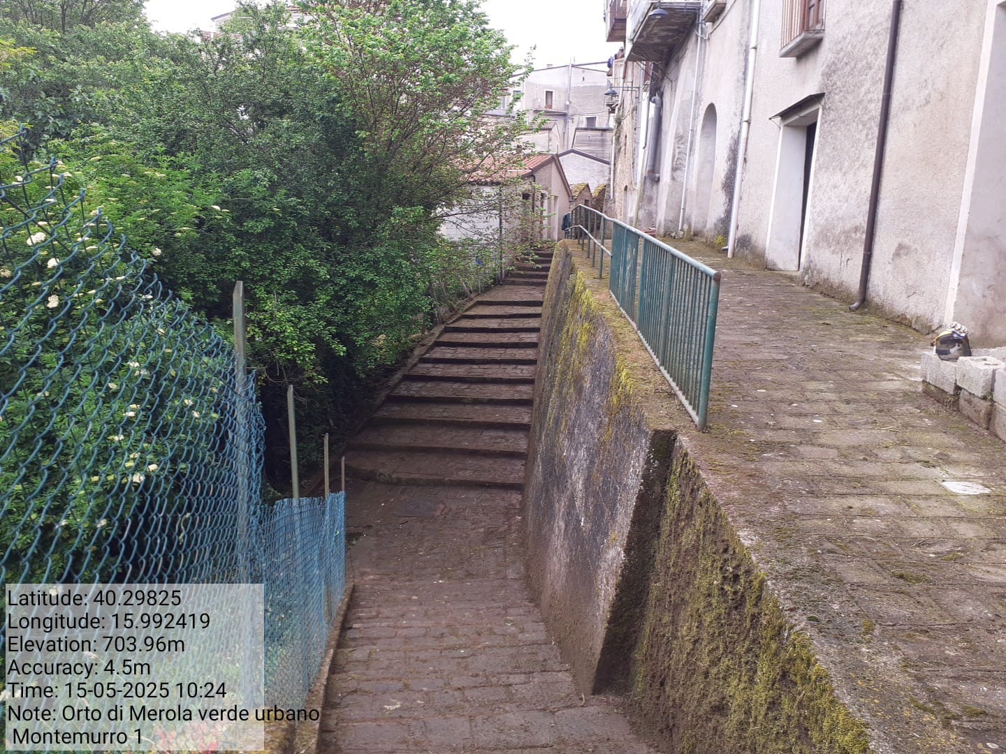 Galleria Fotografica Immagine