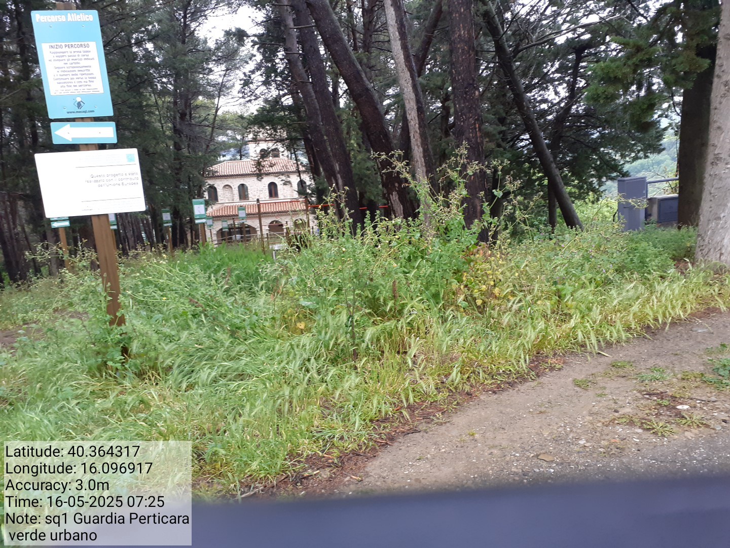 Galleria Fotografica Immagine