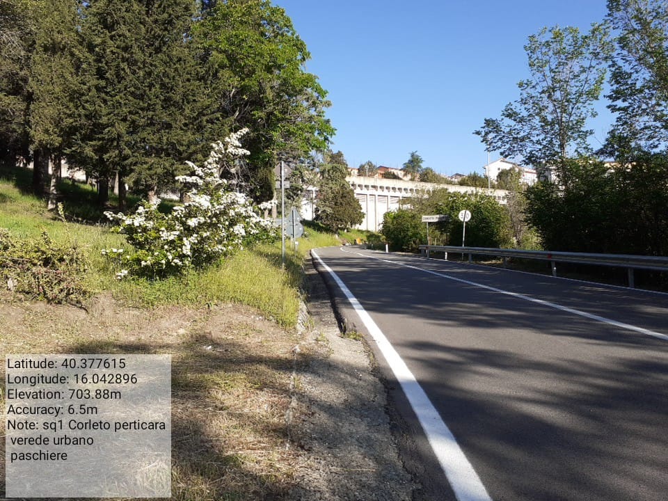 Galleria Fotografica Immagine