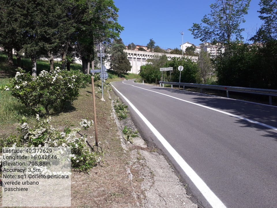 Galleria Fotografica Immagine