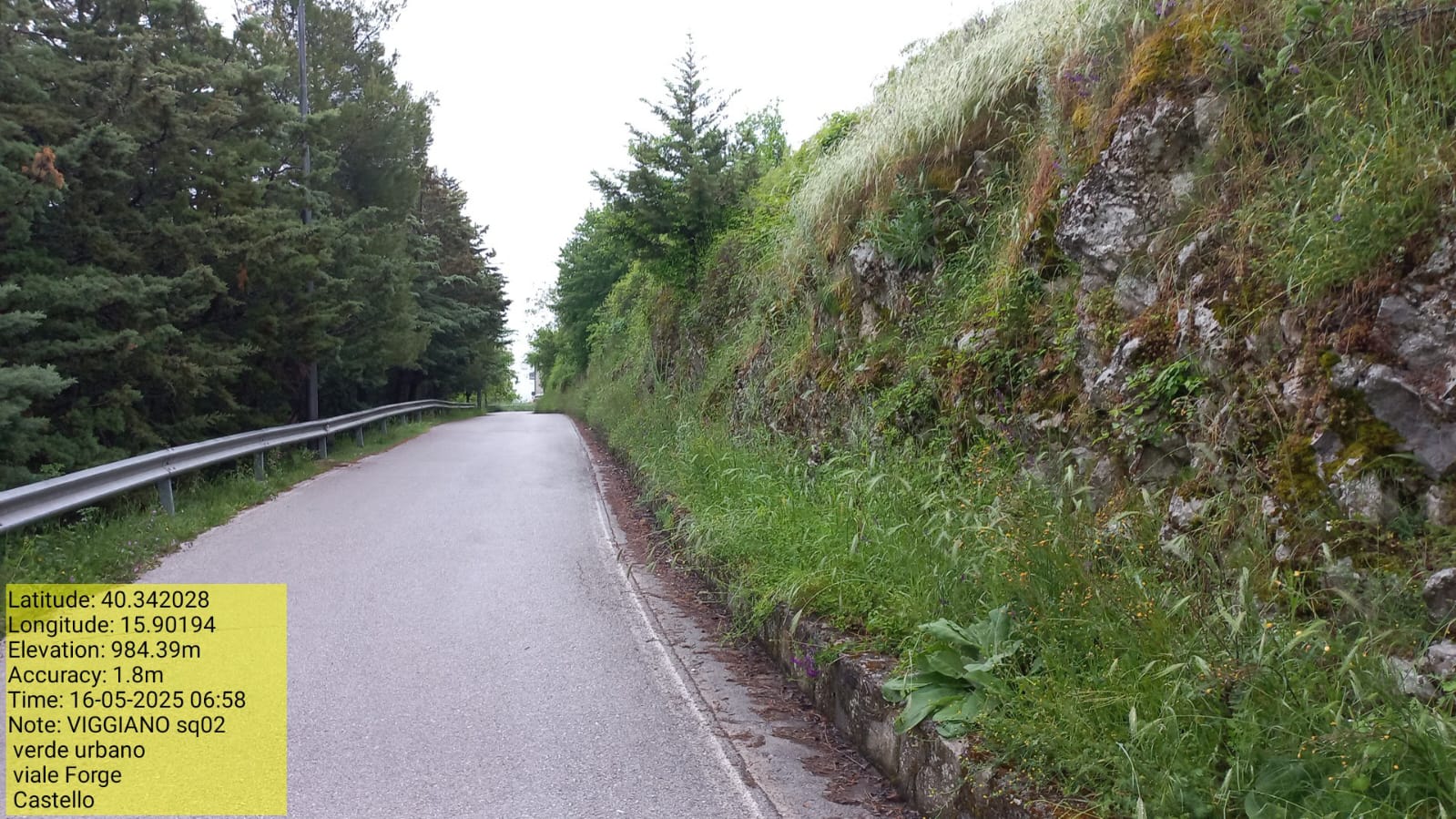 Galleria Fotografica Immagine