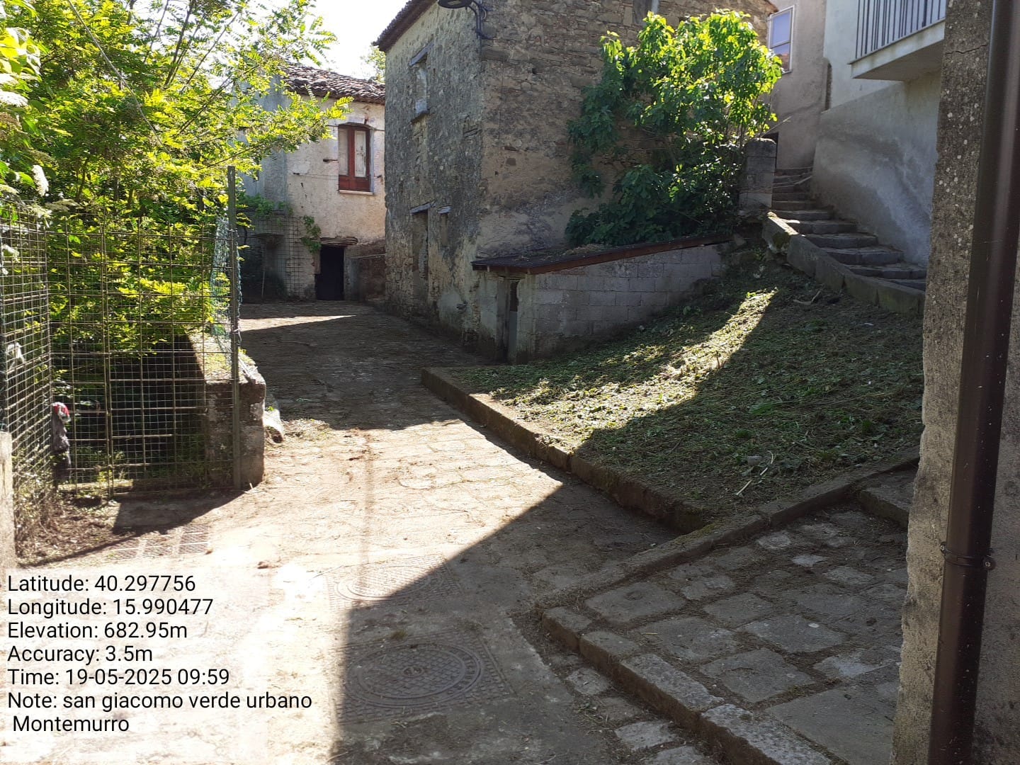 Galleria Fotografica Immagine