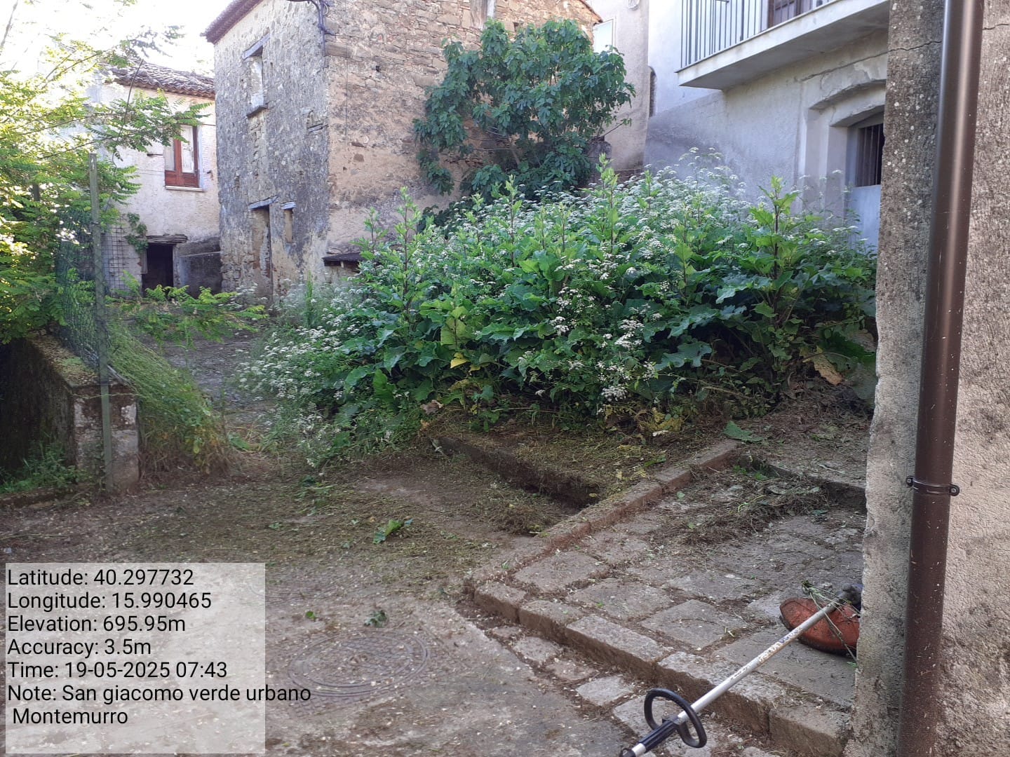 Galleria Fotografica Immagine