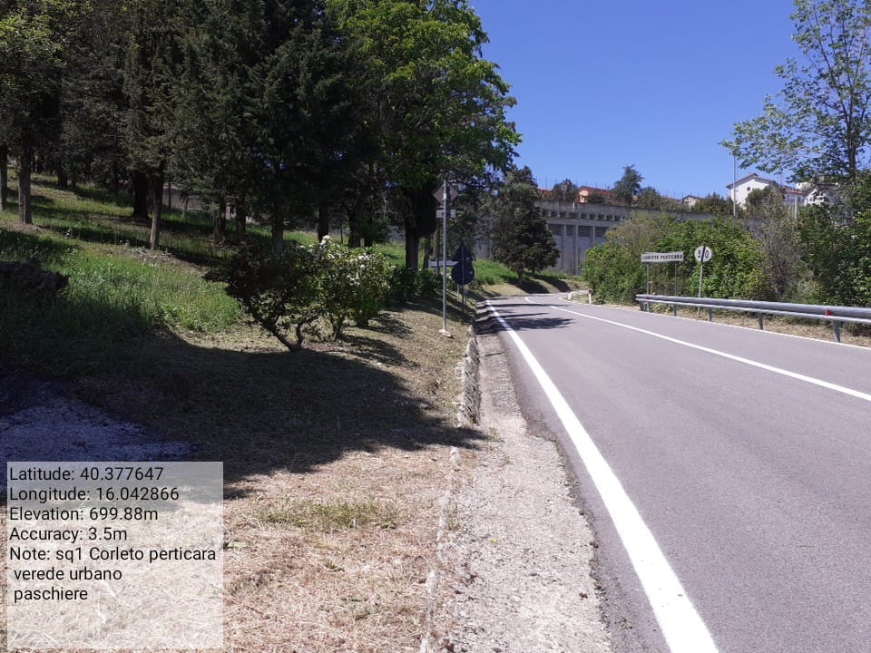 Galleria Fotografica Immagine