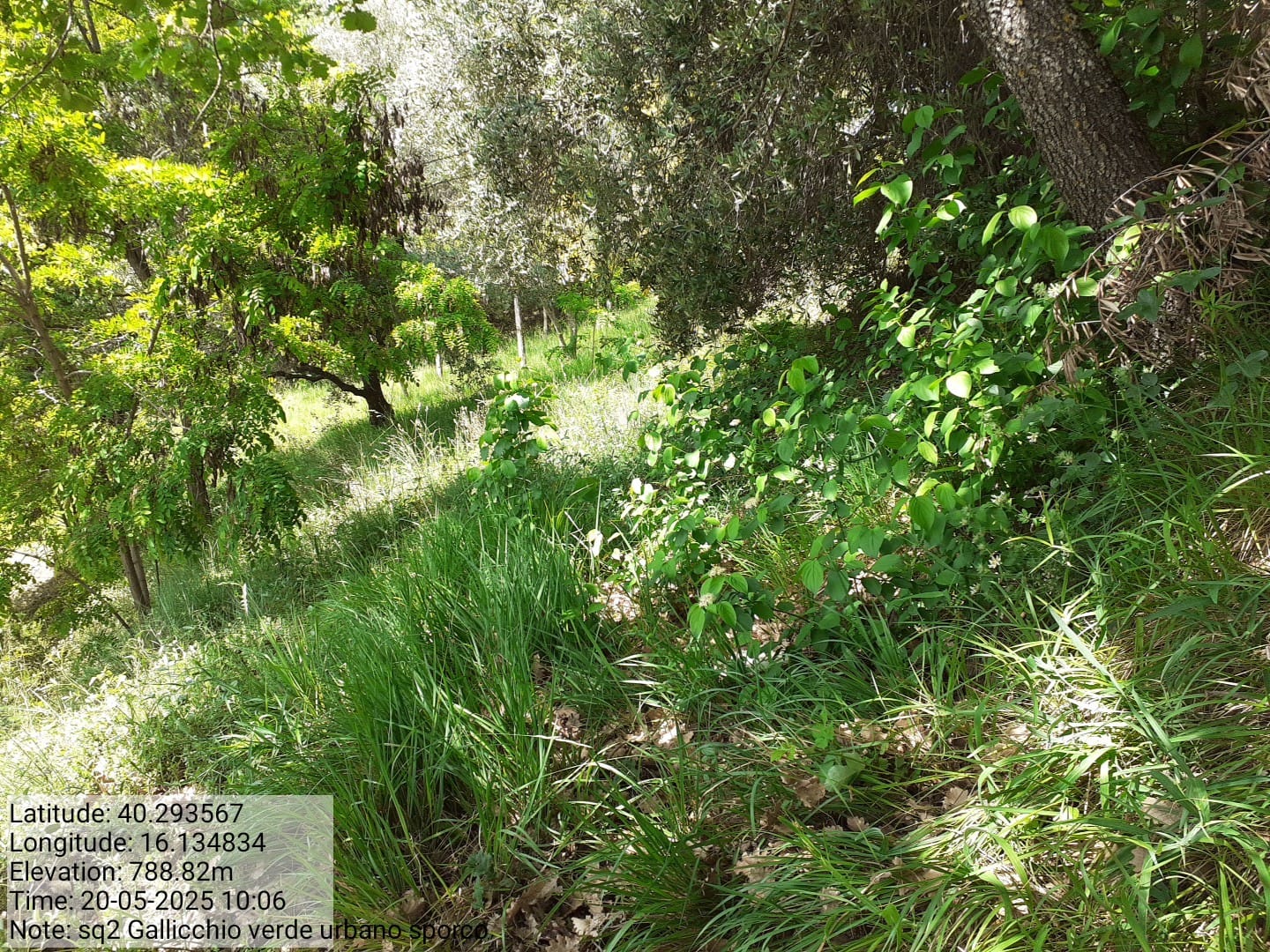 Galleria Fotografica Immagine