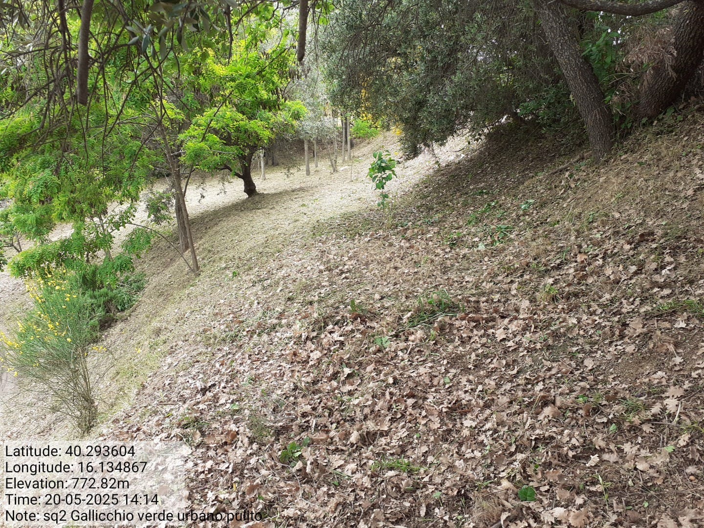 Galleria Fotografica Immagine