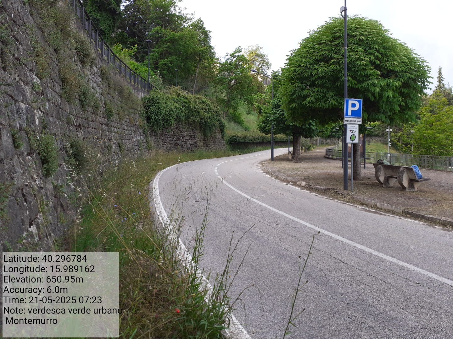 Galleria Fotografica Immagine