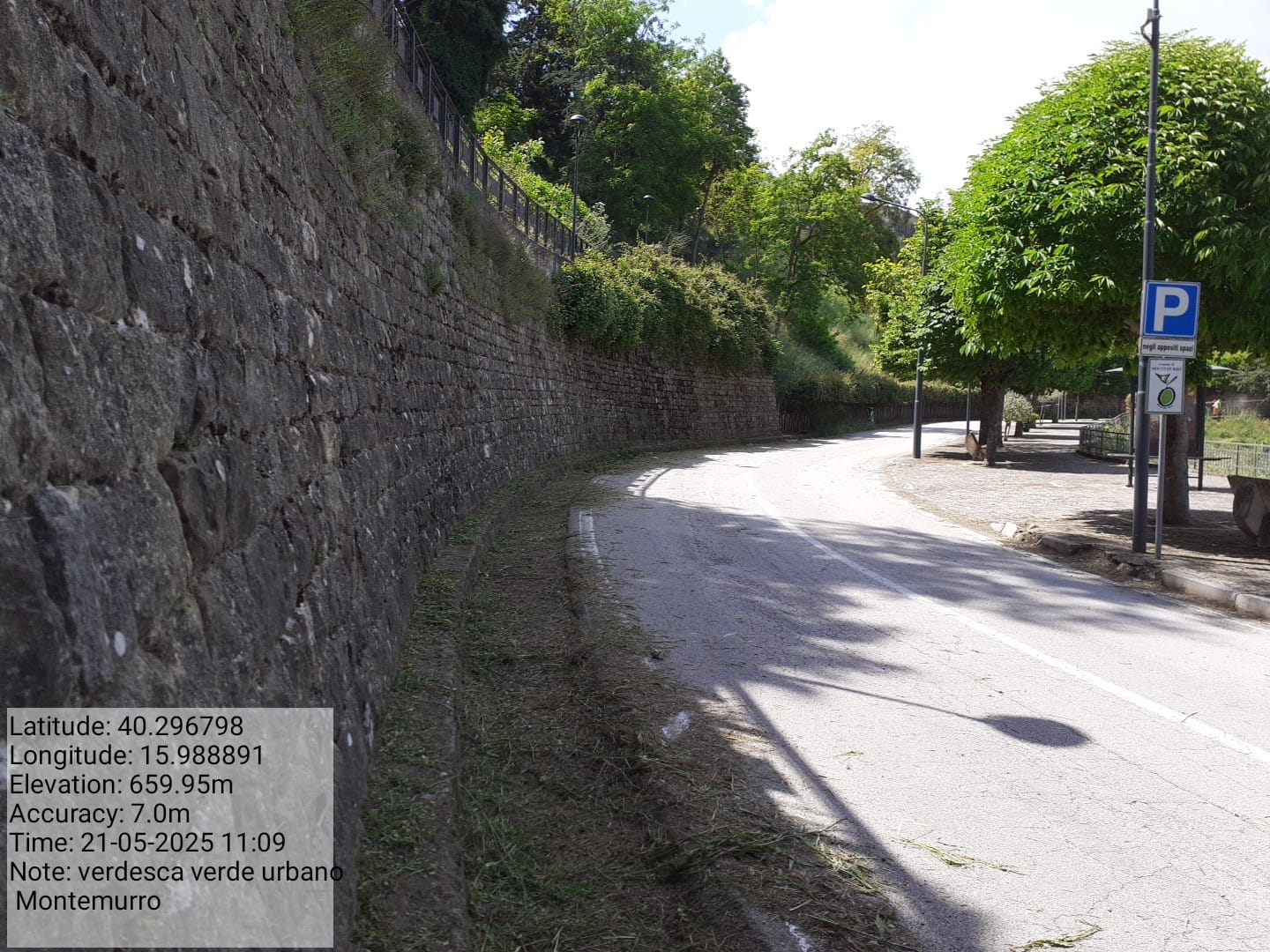 Galleria Fotografica Immagine