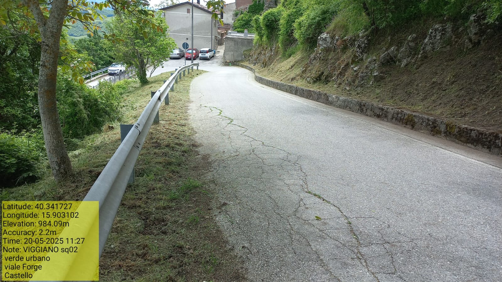 Galleria Fotografica Immagine