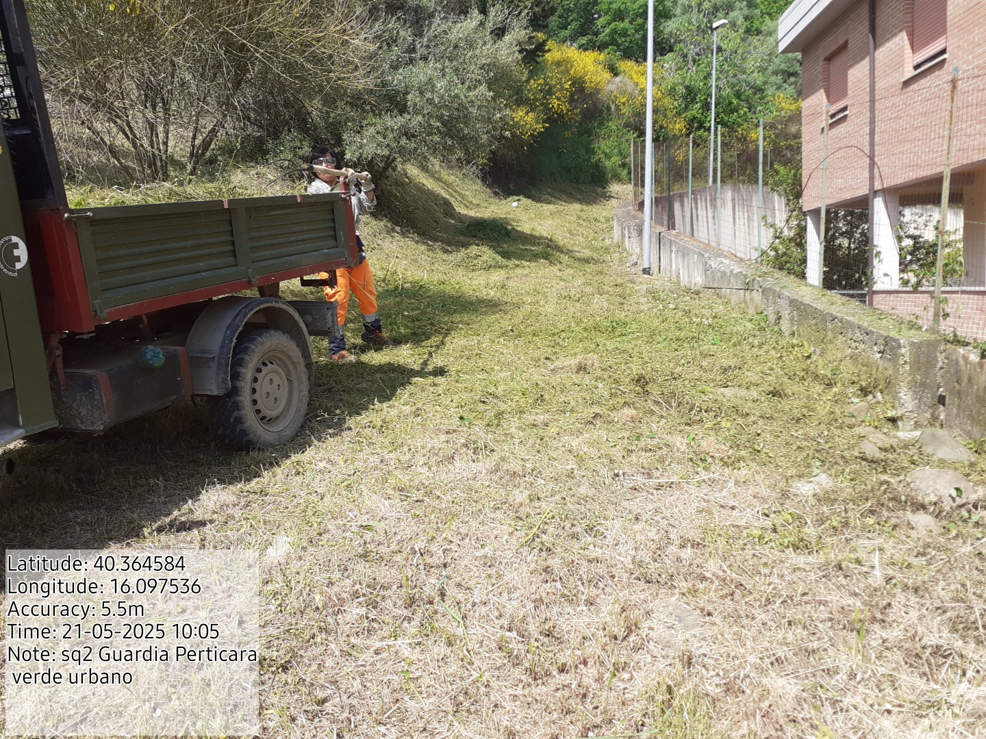 Galleria Fotografica Immagine