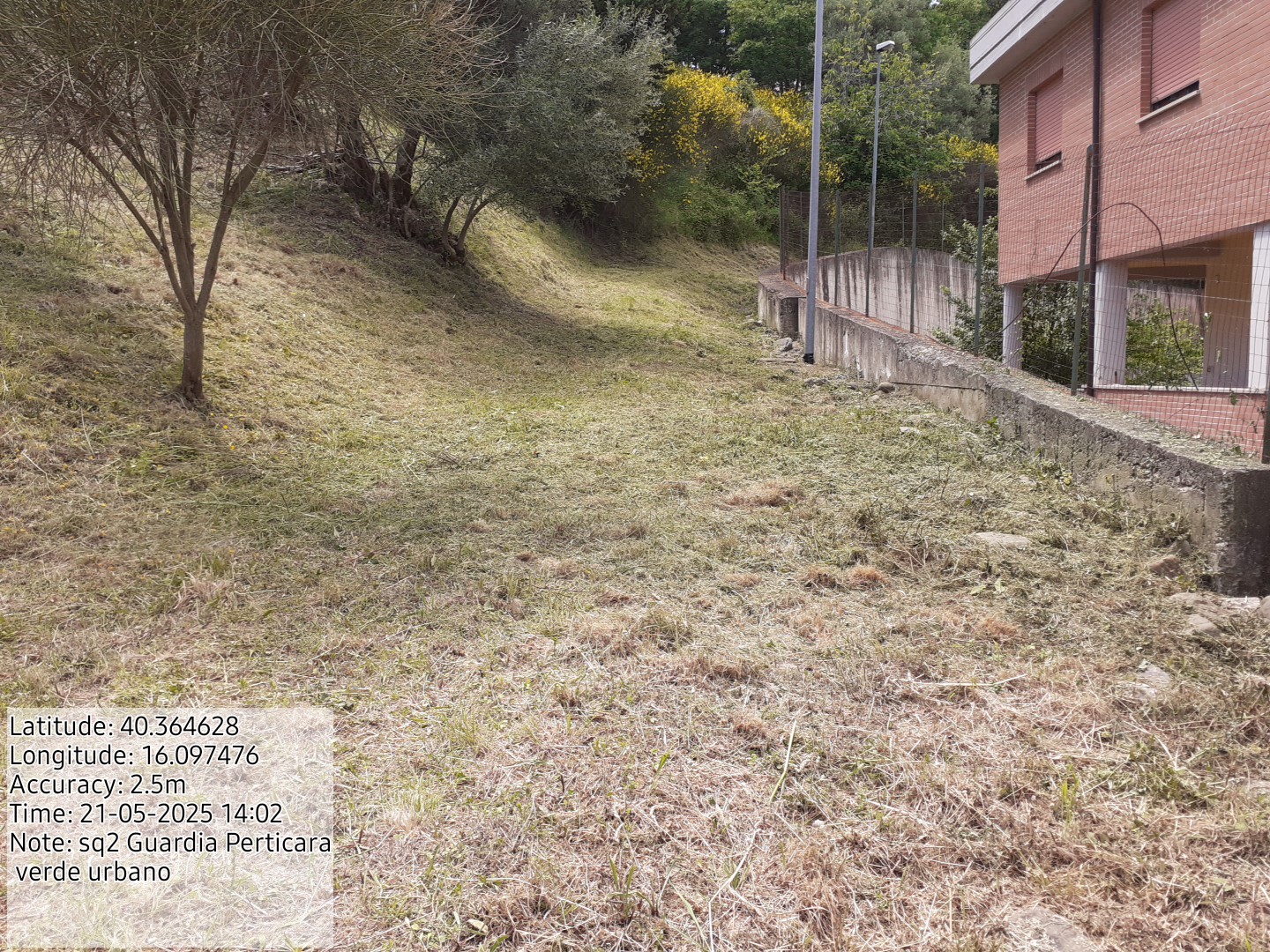 Galleria Fotografica Immagine