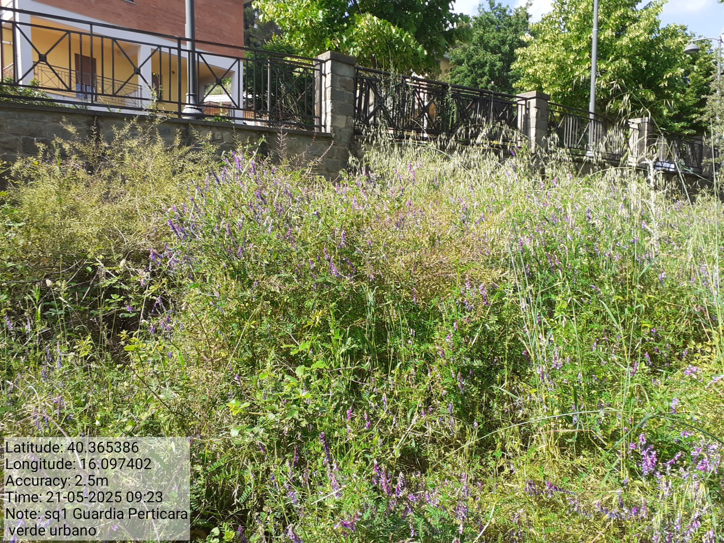 Galleria Fotografica Immagine