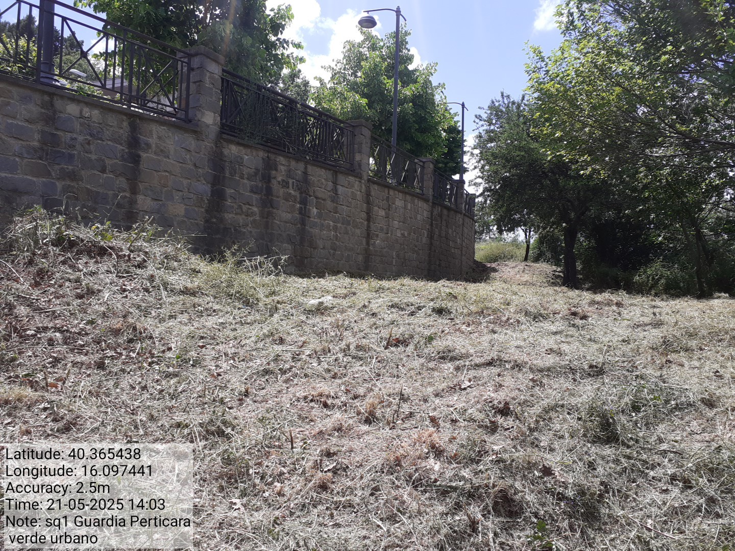 Galleria Fotografica Immagine