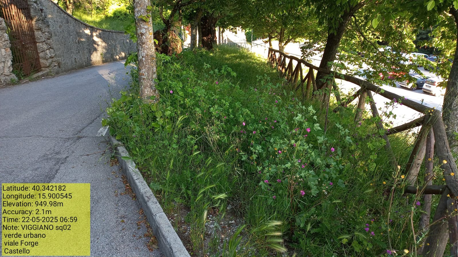 Galleria Fotografica Immagine