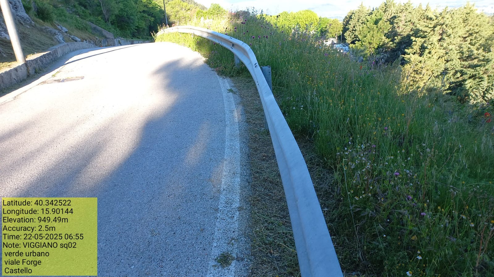 Galleria Fotografica Immagine