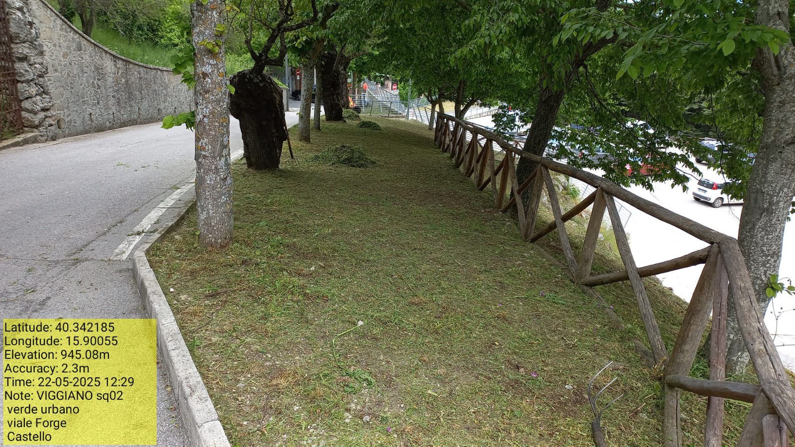 Galleria Fotografica Immagine