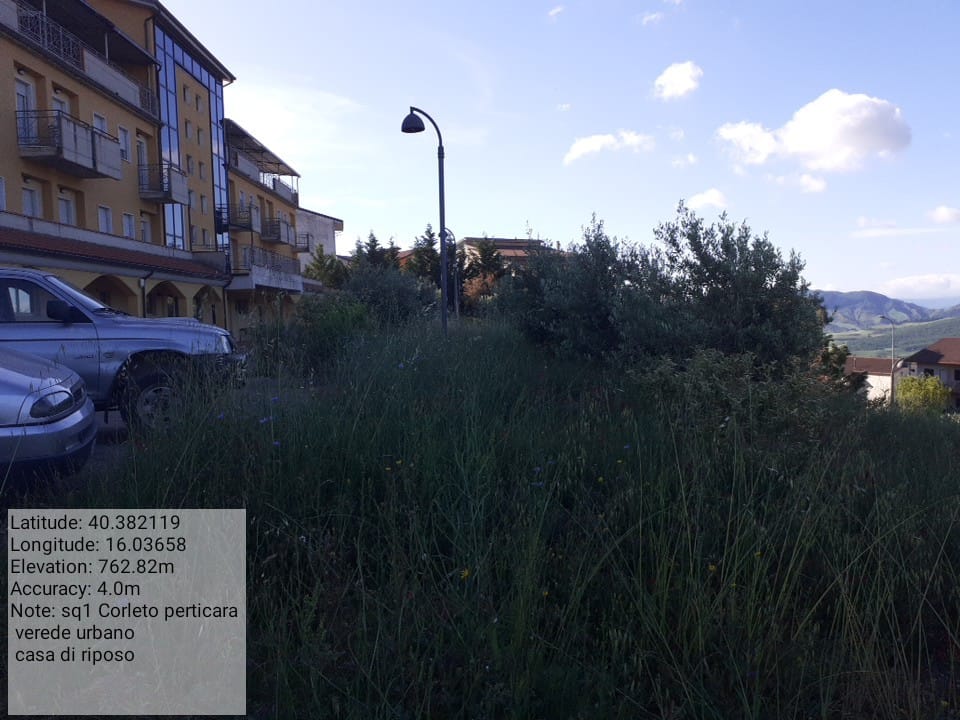 Galleria Fotografica Immagine