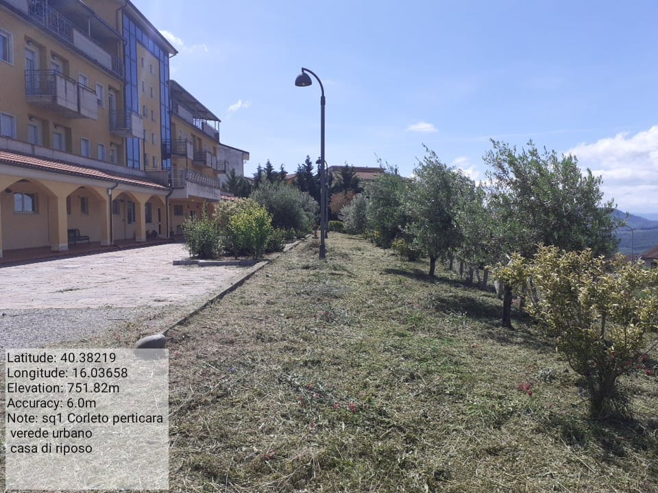 Galleria Fotografica Immagine