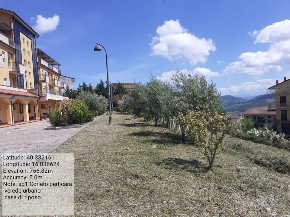 Galleria Fotografica Immagine