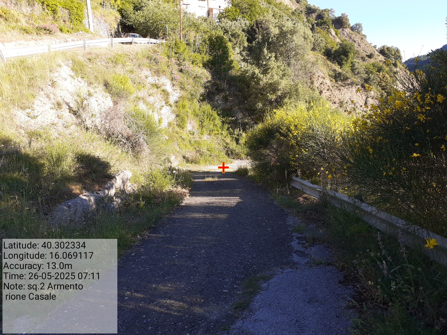 Galleria Fotografica Immagine