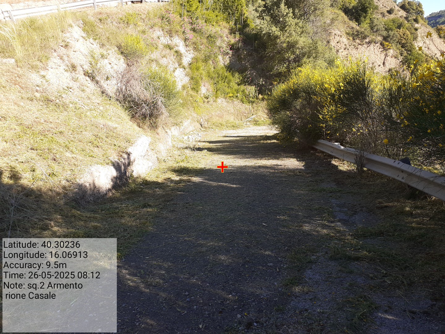 Galleria Fotografica Immagine