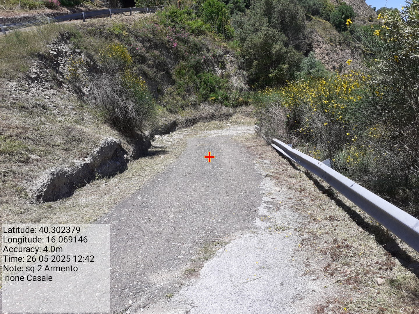 Galleria Fotografica Immagine