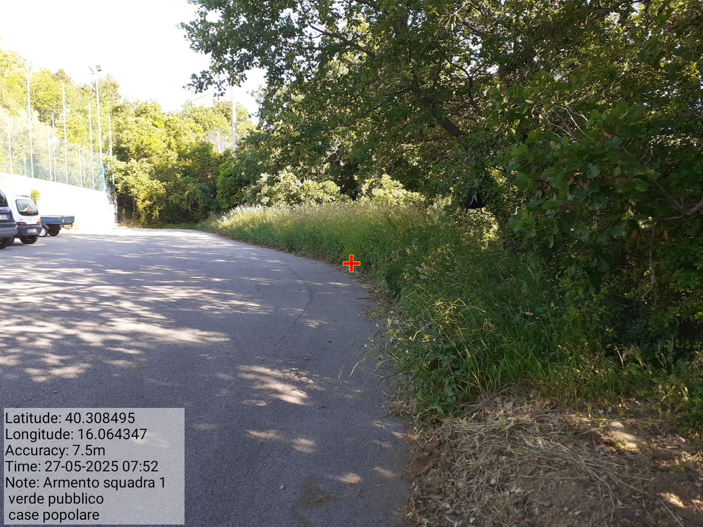 Galleria Fotografica Immagine