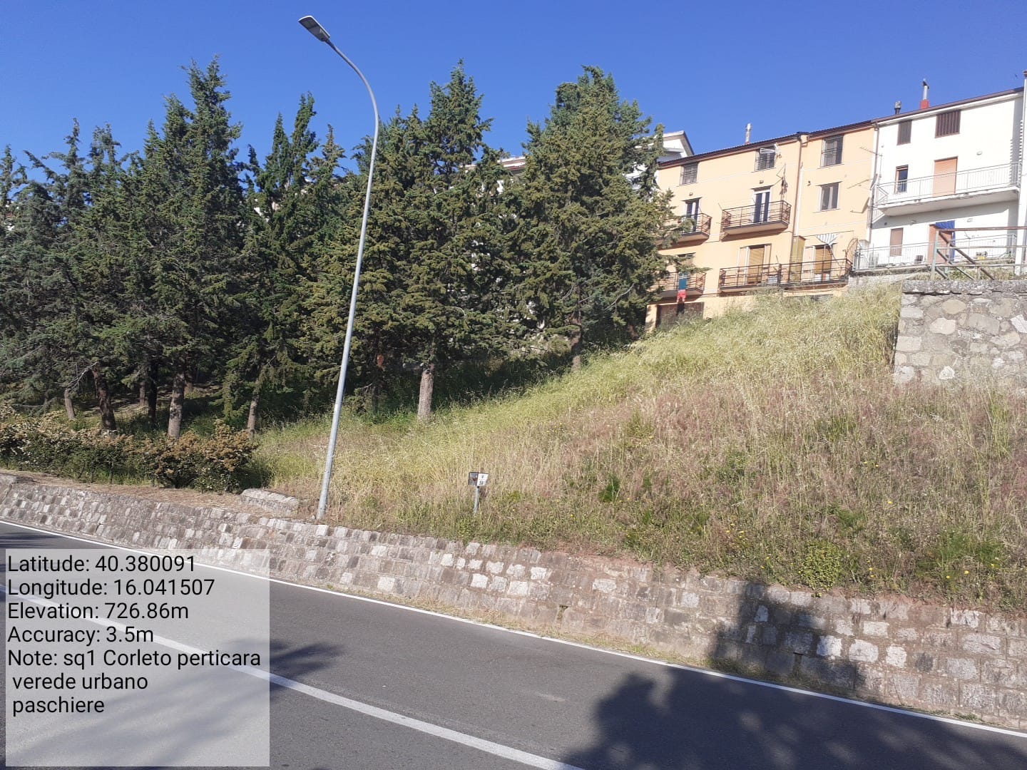 Galleria Fotografica Immagine