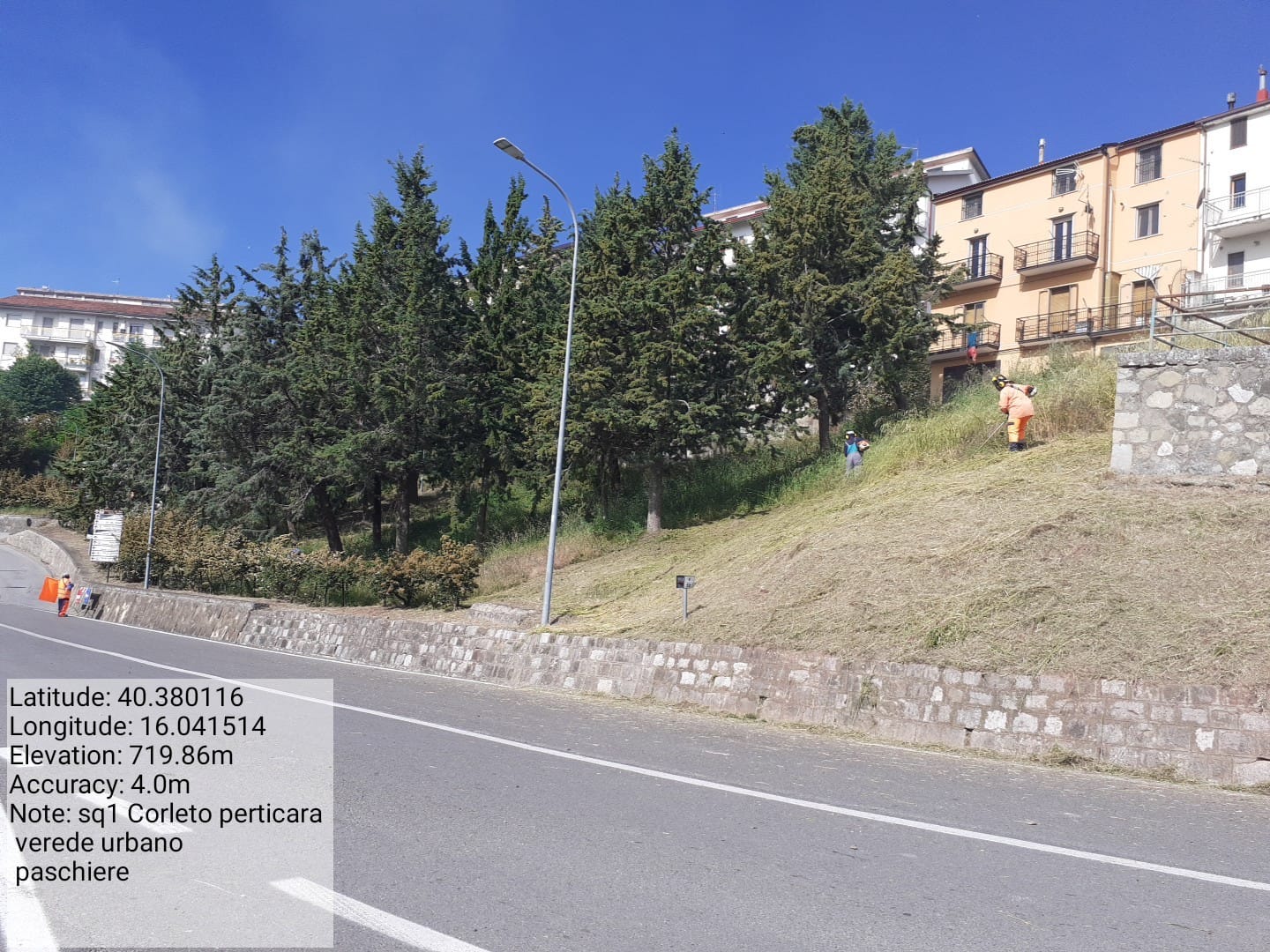 Galleria Fotografica Immagine