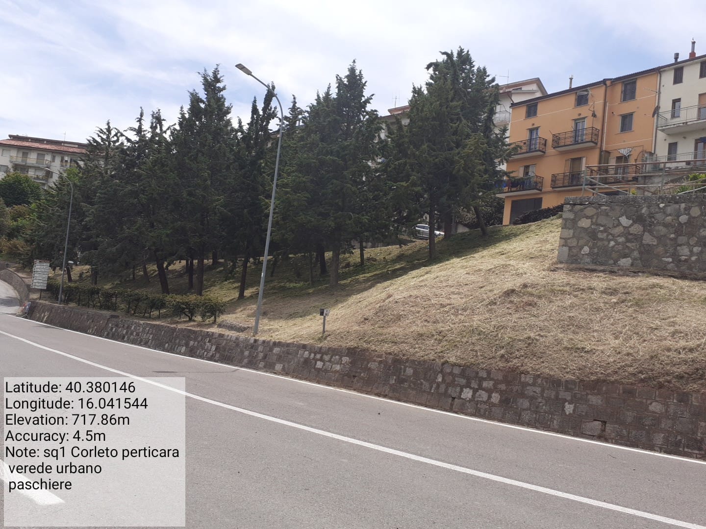 Galleria Fotografica Immagine