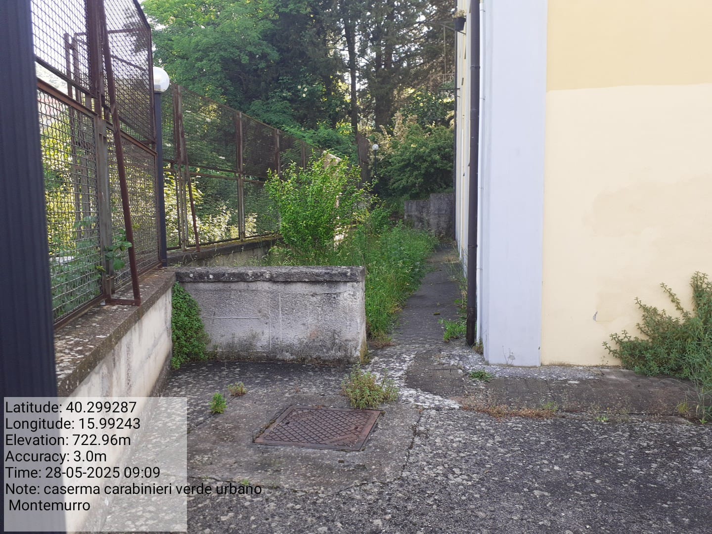 Galleria Fotografica Immagine