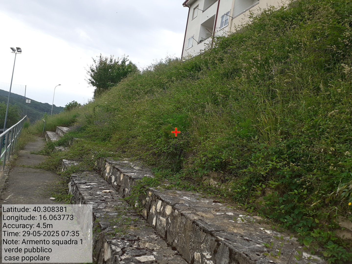 Galleria Fotografica Immagine